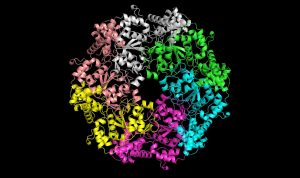 Q&A: Microsoft’s breakthrough AI device makes it simpler to check how proteins are constructed